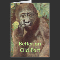 Humorous Birthday Card