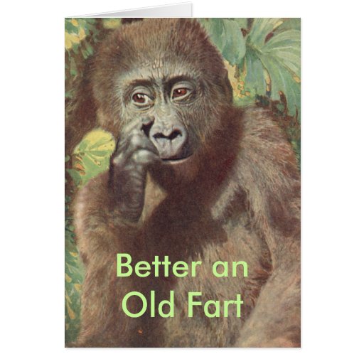 Humorous Birthday Card