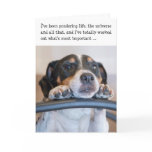 Humorous Birthday Card - Dog Pondering Life