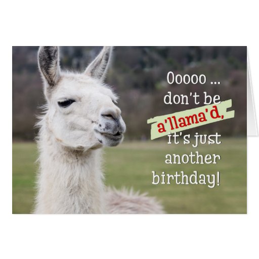 Humorous Birthday Card The Happy Llama Zazzle