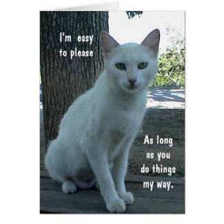 Humorous Card, white cat, blank inside Greeting Card