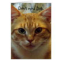 Humorous Cat Birthday Card