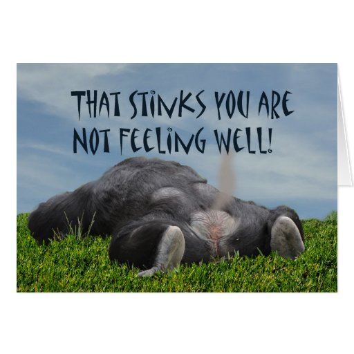 Humorous Funny Sick Monkey Not Feeling Well Cards | Zazzle