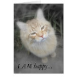 Humorous Get Better Soon Cat Card