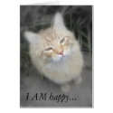 Humorous Get Better Soon Cat Card