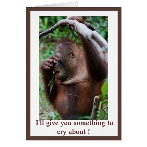 Humorous Ill Give You Something To Cry About Card Zazzle 6622