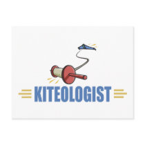 Humorous Kite Flying Post Cards
