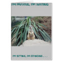 Humorous Meerkat - Circle One cards by one11bargains Humorous Meerkat - Circle One cards