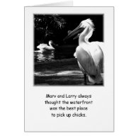 Humorous Pelicans Cards