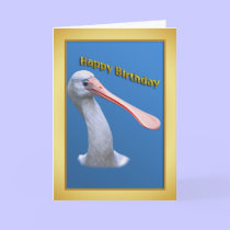 Humorous Spoonbill Birthday Card