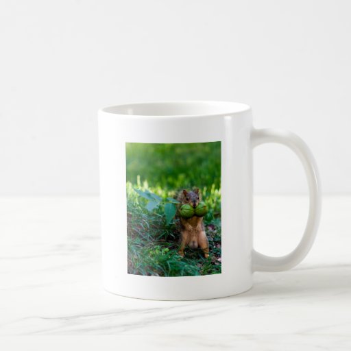 Humorous Squirrel with Two Nuts in Mouth Mugs