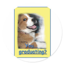 Humorous St. Bernard Mix Dog You, Graduating? stickers by BowNRanch Humorous St. Bernard Mix Dog You, Graduating? stickers