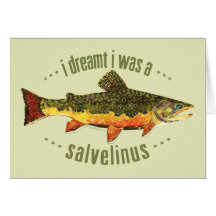 Humorous Trout Fishing Greeting Cards