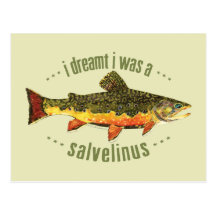 Humorous Trout Fishing Post Card
