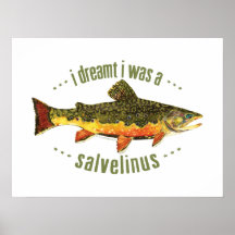 Humorous Trout Fishing Poster