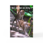 Humorous Wedding Best Wishes for a Special Couple Card