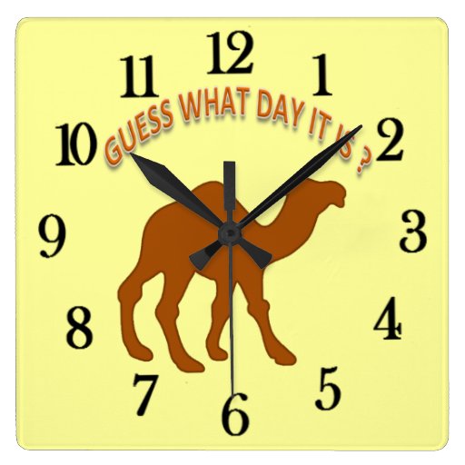 camel clock
