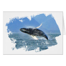 Humpback Acrobat Greeting Cards