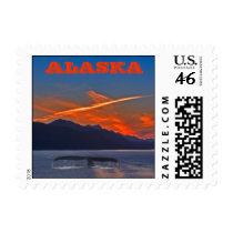 Humpback at Sunset Postage