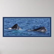 Humpback Pair Print