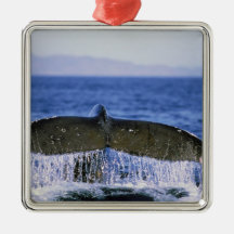 Humpback tail. christmas ornament