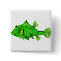 Humpback Turretfish Green buttons