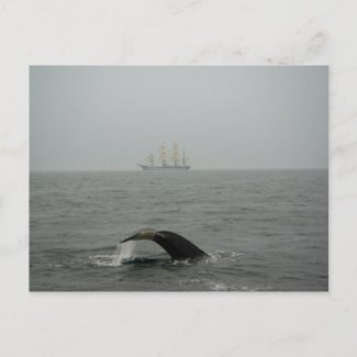 Humpback Whale and Tall Ship 2 Postcard postcard