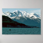 Humpback Whale Breaching in Southeast Alaska Poster