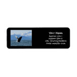 Humpback Whale Breaching Return Address Labels
