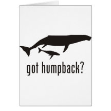 Humpback Whale Card