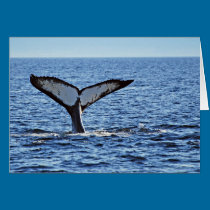 Humpback Whale Fluke, Victoria, BC cards