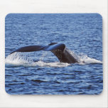 Humpback Whale Fluke, Victoria, BC Mouse Pads