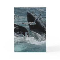 Humpback Whale Greeting Card