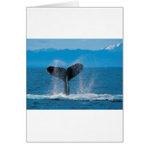 Humpback Whale Greeting Card
