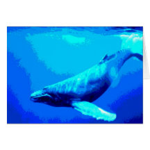 Humpback Whale Greeting Cards