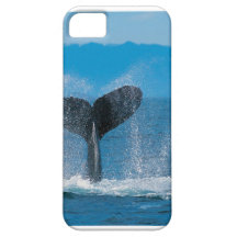 Humpback whale iphone 5 case