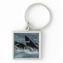 Humpback Whale Keychain