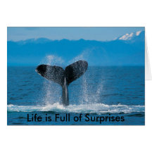 Humpback Whale, Life is Full of Surprises, Life... Cards