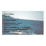 Humpback Whale, Mexico Business Card Templates