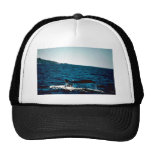 Humpback Whale Mexico Hats