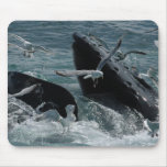 Humpback Whale Mouse Pad