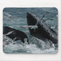 Humpback Whale Mouse Pad