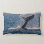 Humpback Whale Off Surfers Paradise Throw Pillow