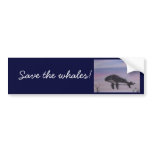 Humpback whale painting