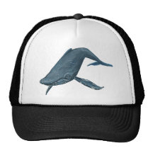 Humpback Whale Painting Hats
