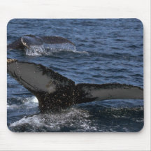 Humpback Whale Pair Mouse Pad