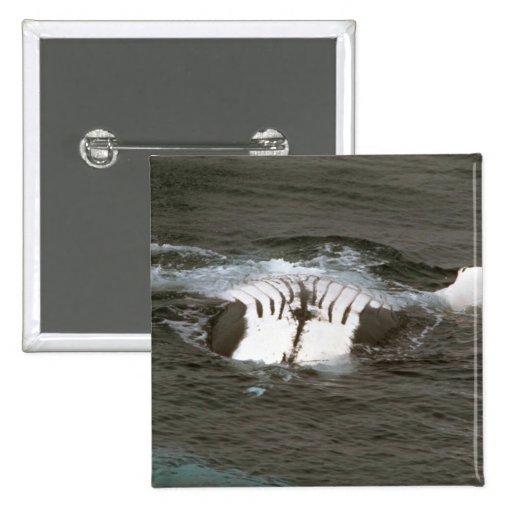 Humpback whale pin