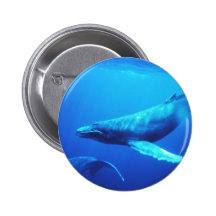 Humpback Whale Pin
