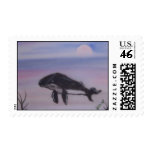 Humpback whale