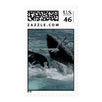 Humpback Whale Postage Stamp